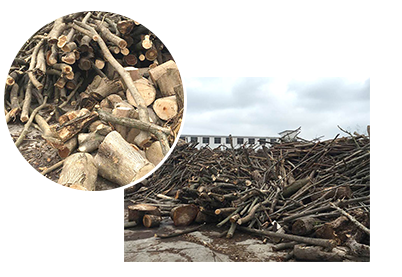 �sľ��ԭ����